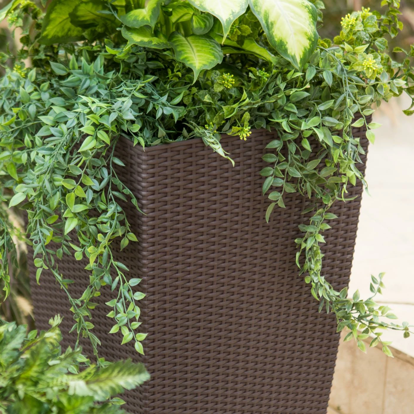 Best Pirce π₯ Planter Pots Square Lechuza Cubico Cottage Self-Watering Resin Planter 𧨠5 Best Pirce π₯ Planter Pots Square Lechuza Cubico Cottage Self-Watering Resin Planter 𧨠- Image 5