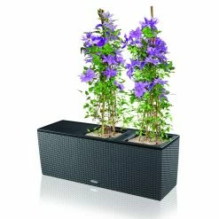 Wholesale π Trough Rectangle Lechuza Trio Cottage 30 Self-Watering Resin Planter β€οΈ 9 Wholesale π Trough Rectangle Lechuza Trio Cottage 30 Self-Watering Resin Planter β€οΈ -Garden Planters & Plant Pots Sales Shop scalePML009