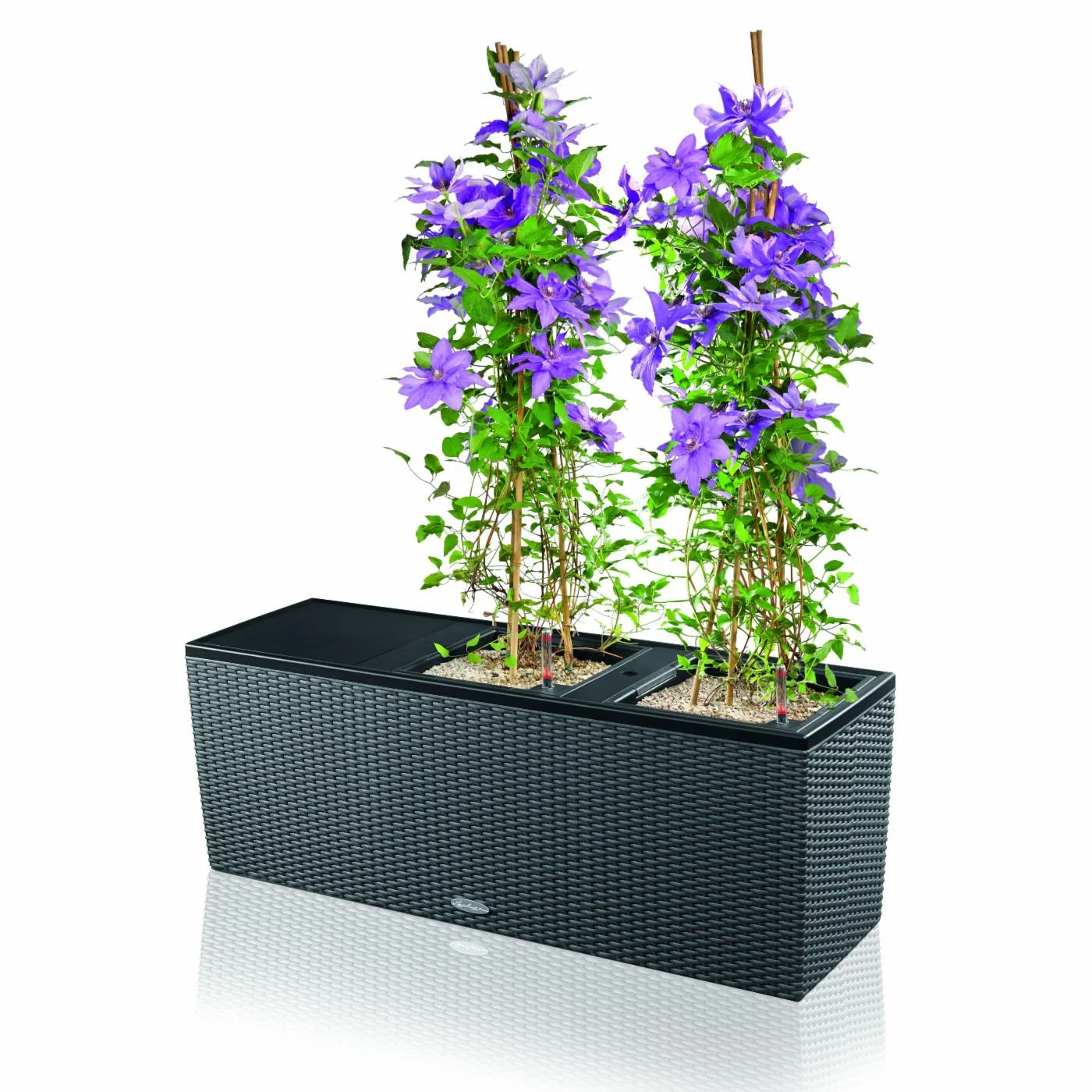 Wholesale π Trough Rectangle Lechuza Trio Cottage 30 Self-Watering Resin Planter β€οΈ 5 Wholesale π Trough Rectangle Lechuza Trio Cottage 30 Self-Watering Resin Planter β€οΈ - Image 5