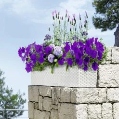 Brand new ❤️ Deck & Railing Rectangle Lechuza Balconera Cottage Self-Watering Resin Planter 🎉 -Garden Planters & Plant Pots Sales Shop scalePML010