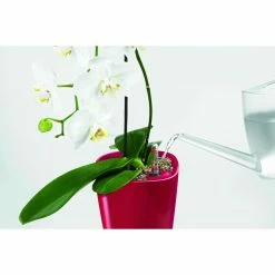 Best reviews of 💯 Planter Pots Round Lechuza Deltini Self-Watering Indoor Planter 🤩 -Garden Planters & Plant Pots Sales Shop scalePML025