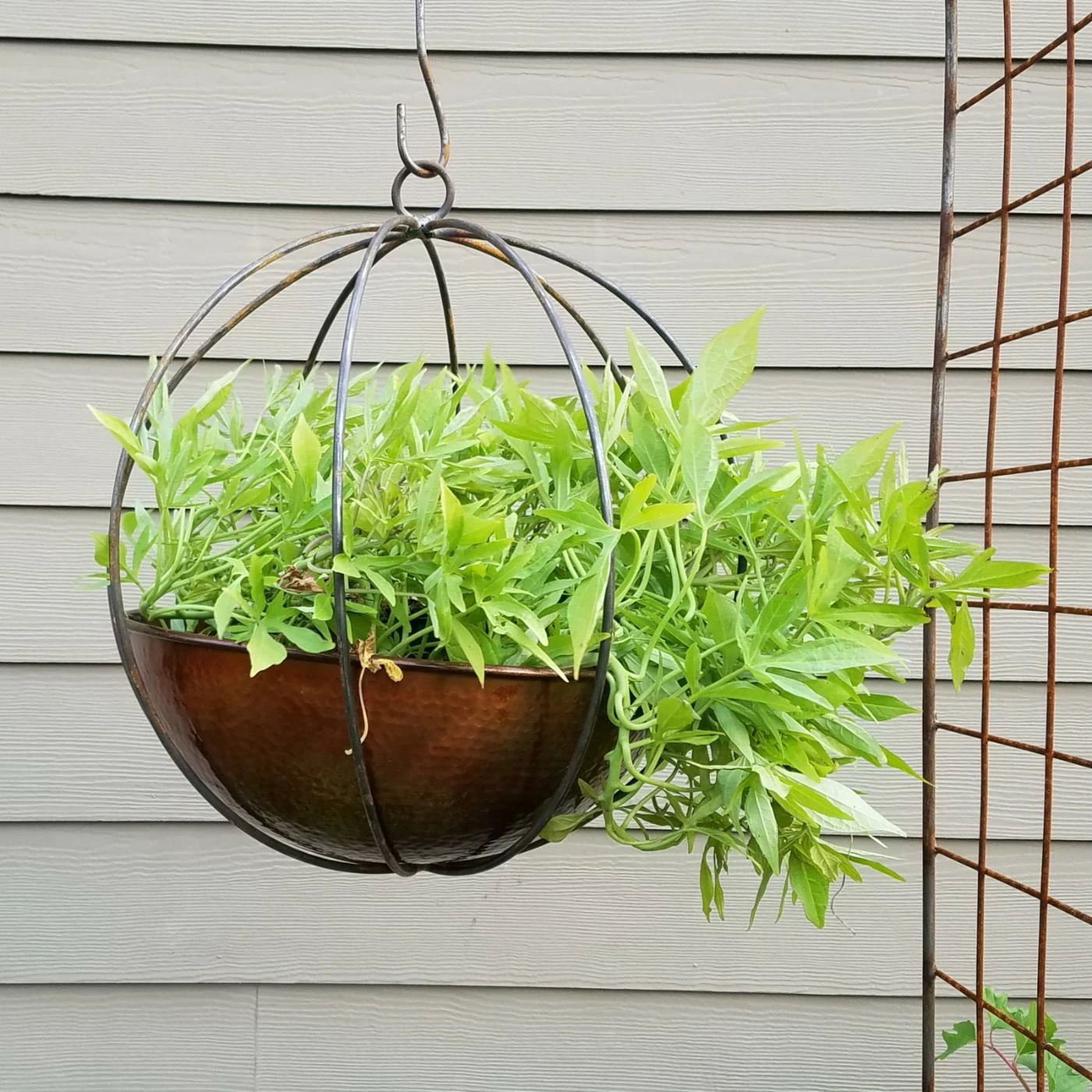 Top 10 ๐ฏ Hanging Passage Handmade Globe And Planter โค๏ธ 5 Top 10 ๐ฏ Hanging Passage Handmade Globe And Planter โค๏ธ - Image 5