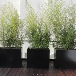 Best Pirce π Planter Pots Root And Stock Dixon Square Cube Fiberglass Planter Box π 11 Best Pirce π Planter Pots Root And Stock Dixon Square Cube Fiberglass Planter Box π -Garden Planters & Plant Pots Sales Shop scaleROOA003