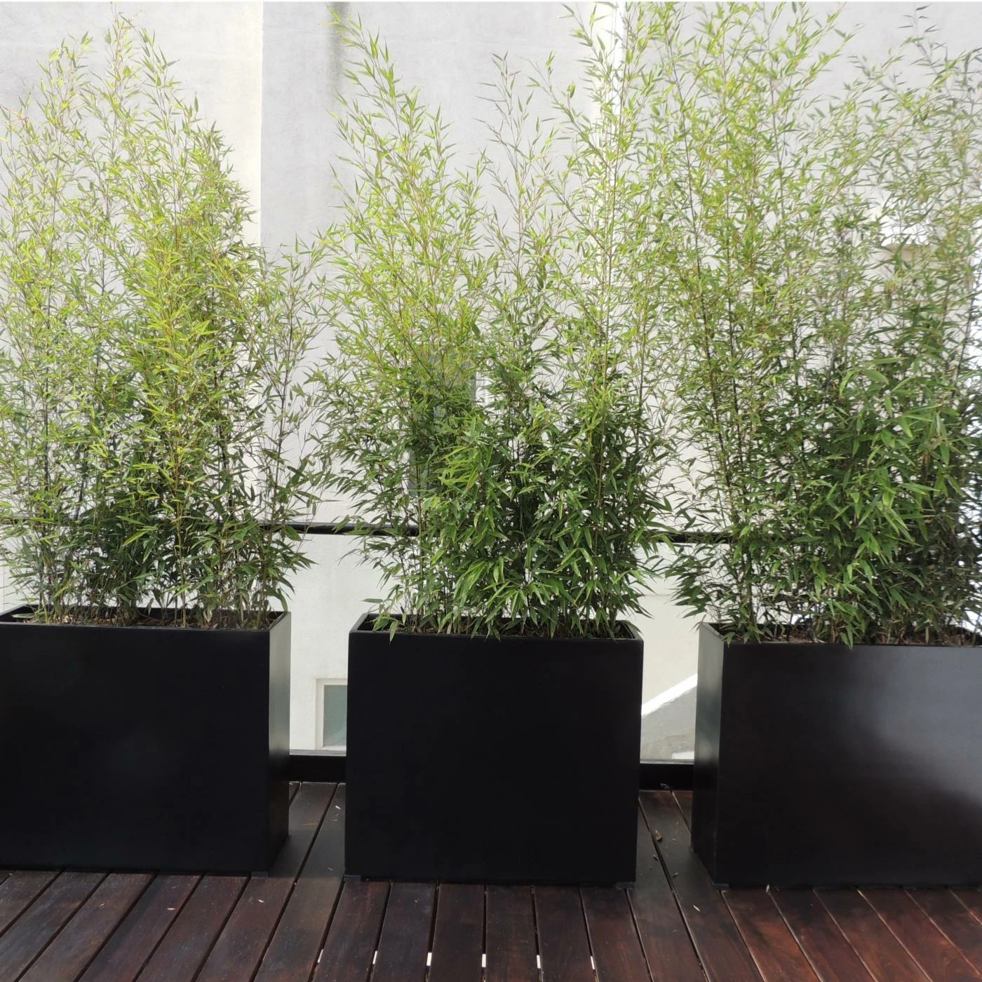 Best Pirce π Planter Pots Root And Stock Dixon Square Cube Fiberglass Planter Box π 5 Best Pirce π Planter Pots Root And Stock Dixon Square Cube Fiberglass Planter Box π - Image 5