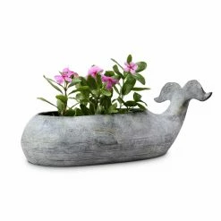 Cheap π Novelty San Pacific International Whale Planter 𧨠9 Cheap π Novelty San Pacific International Whale Planter 𧨠-Garden Planters & Plant Pots Sales Shop scaleSAPI1112