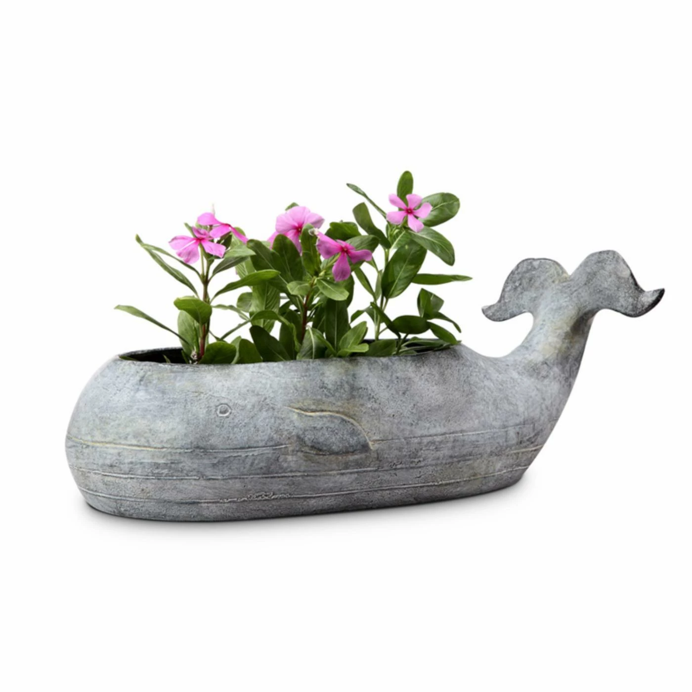 Cheap π Novelty San Pacific International Whale Planter 𧨠5 Cheap π Novelty San Pacific International Whale Planter 𧨠- Image 5