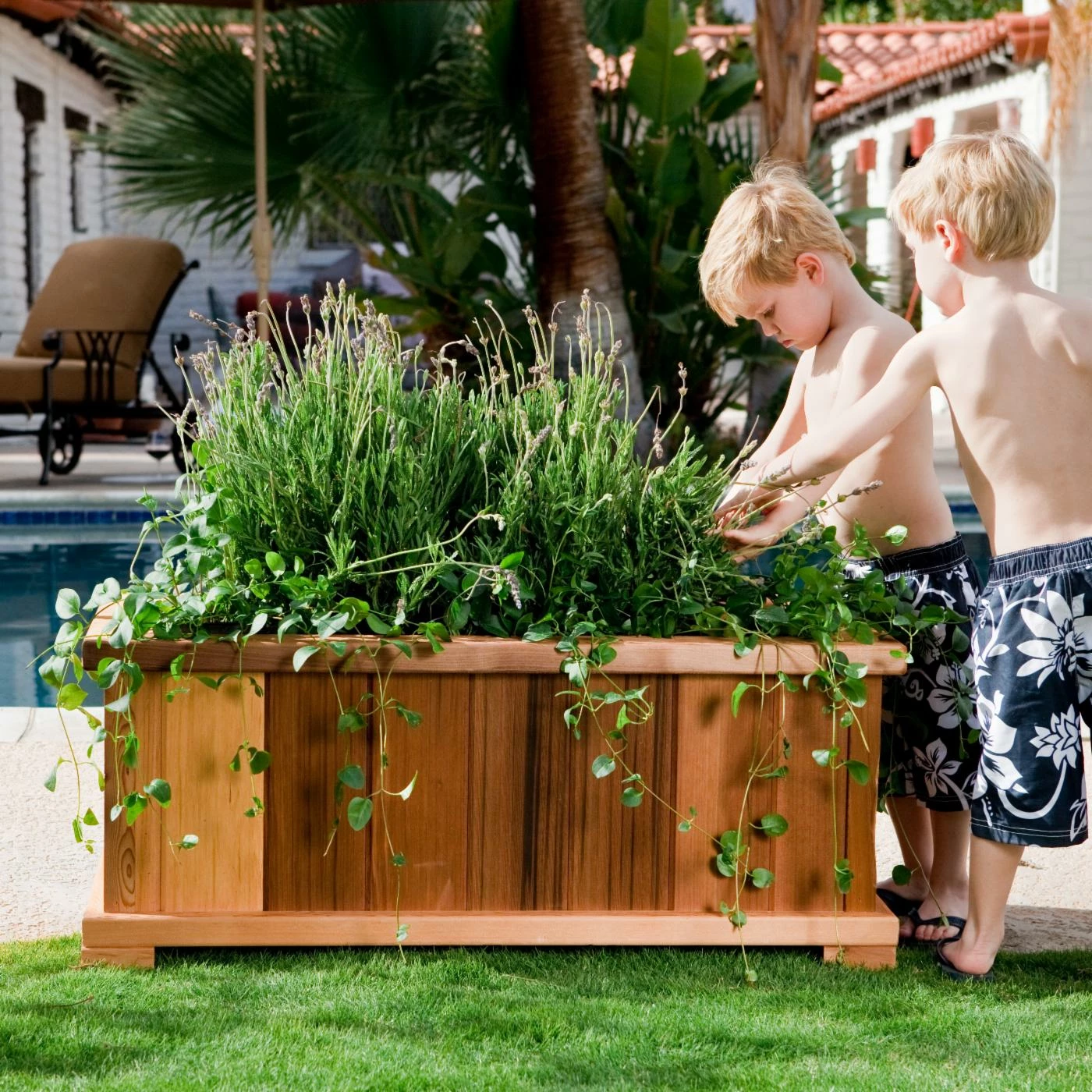 Hot Sale ๐ฏ Commercial Wood Country Rectangle Cedar Wood Boise Patio Planter Box โจ 5 Hot Sale ๐ฏ Commercial Wood Country Rectangle Cedar Wood Boise Patio Planter Box โจ - Image 5